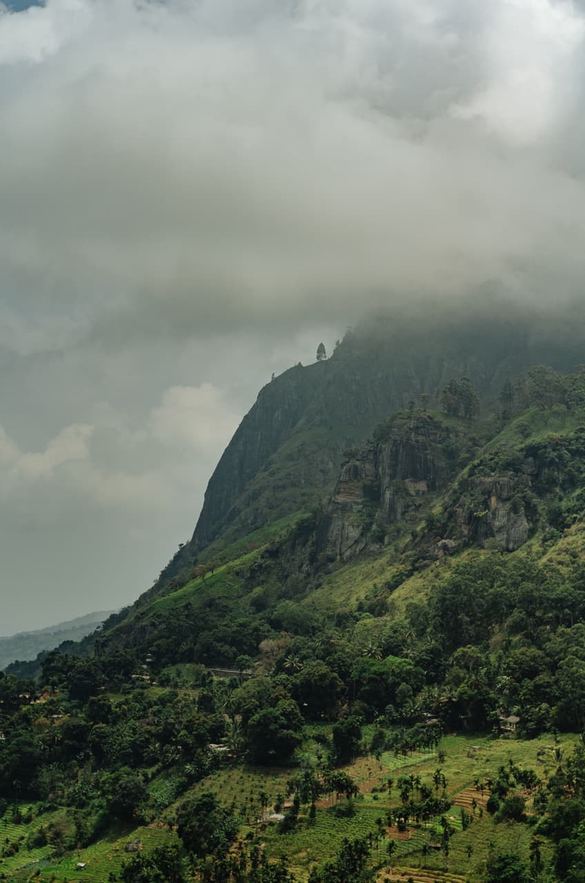 Превью Sri Lanka 2022